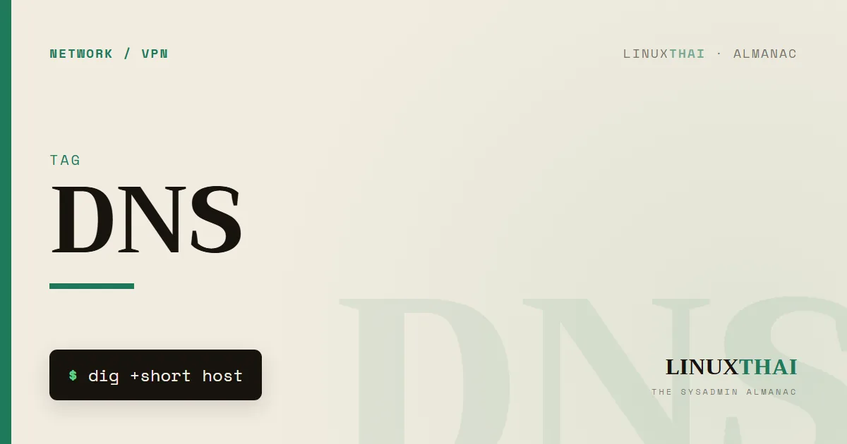 DNS
